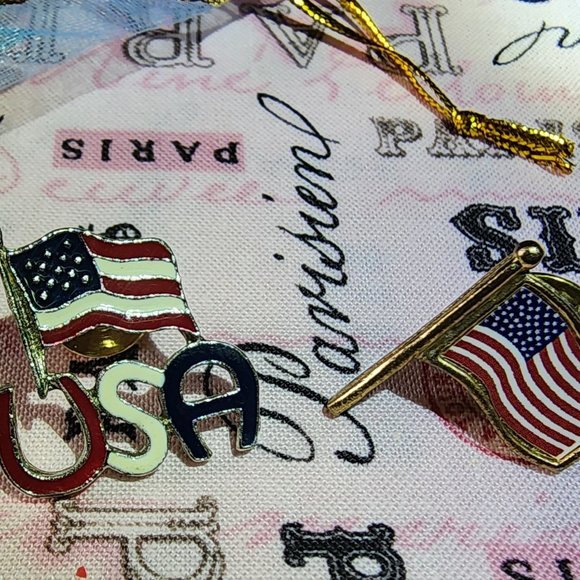 Just USA Jewelry - American Pride Pins 1 USA & the Flag 1 Just the Flag